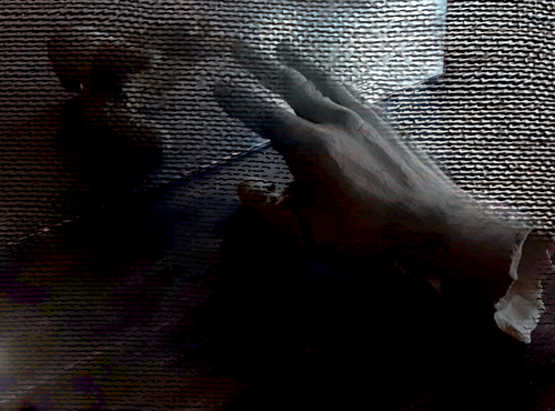 Image - this image does not have an alt text, please let me know.